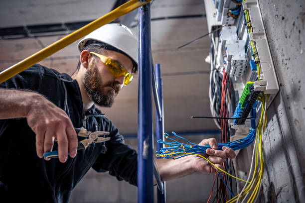 Best Electrical Upgrades for Homes  in Wayne City, IL