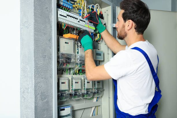 Best Industrial Electrical Services  in Wayne City, IL